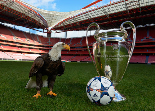 鹈鹕反击锡安连得5分追分（鹈鹕反扑，锡安连砍5分缩小分差）